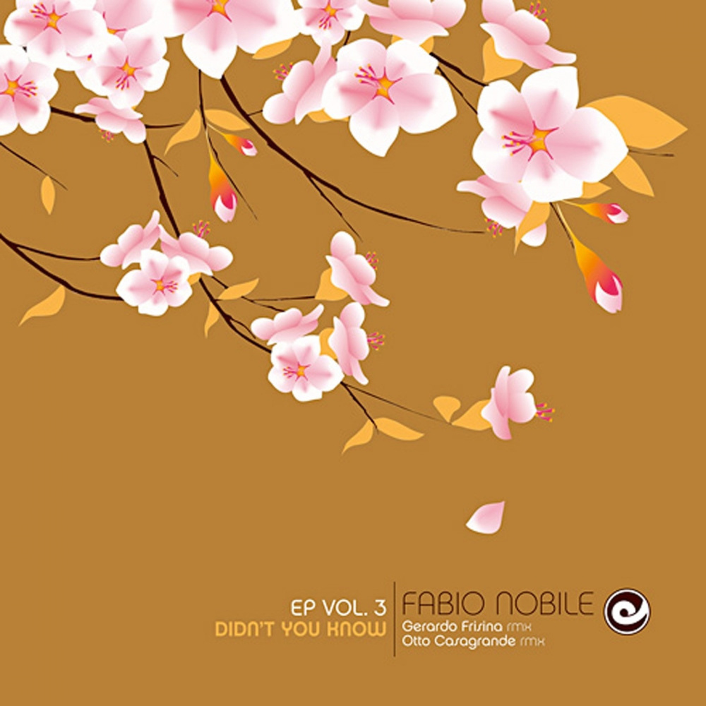Didn't You Know (Otto Casagrande Remix)