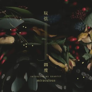 Album 奇幻旅程 from 玩弦四度