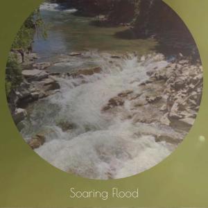 Dengarkan lagu Slowly Shell nyanyian Mher Kassu dengan lirik