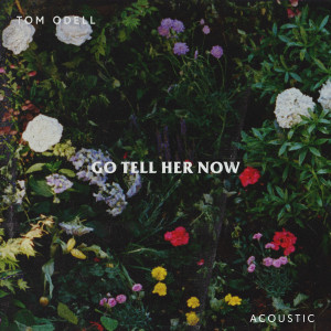 收聽Tom Odell的Go Tell Her Now (Acoustic)歌詞歌曲