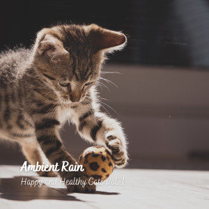 Ambient Rain: Happy and Healthy Cats Vol. 1