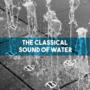 Listen to Le carnaval des animaux: VII. Aquarium song with lyrics from Vienna State Opera Orchestra [Orchestra]