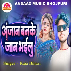 Album Anjan Banake Jaam Bhailu from Raja Bihari
