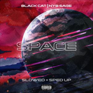Album SPACE (Sped Up & Slowed + Reverb) from Black Cat