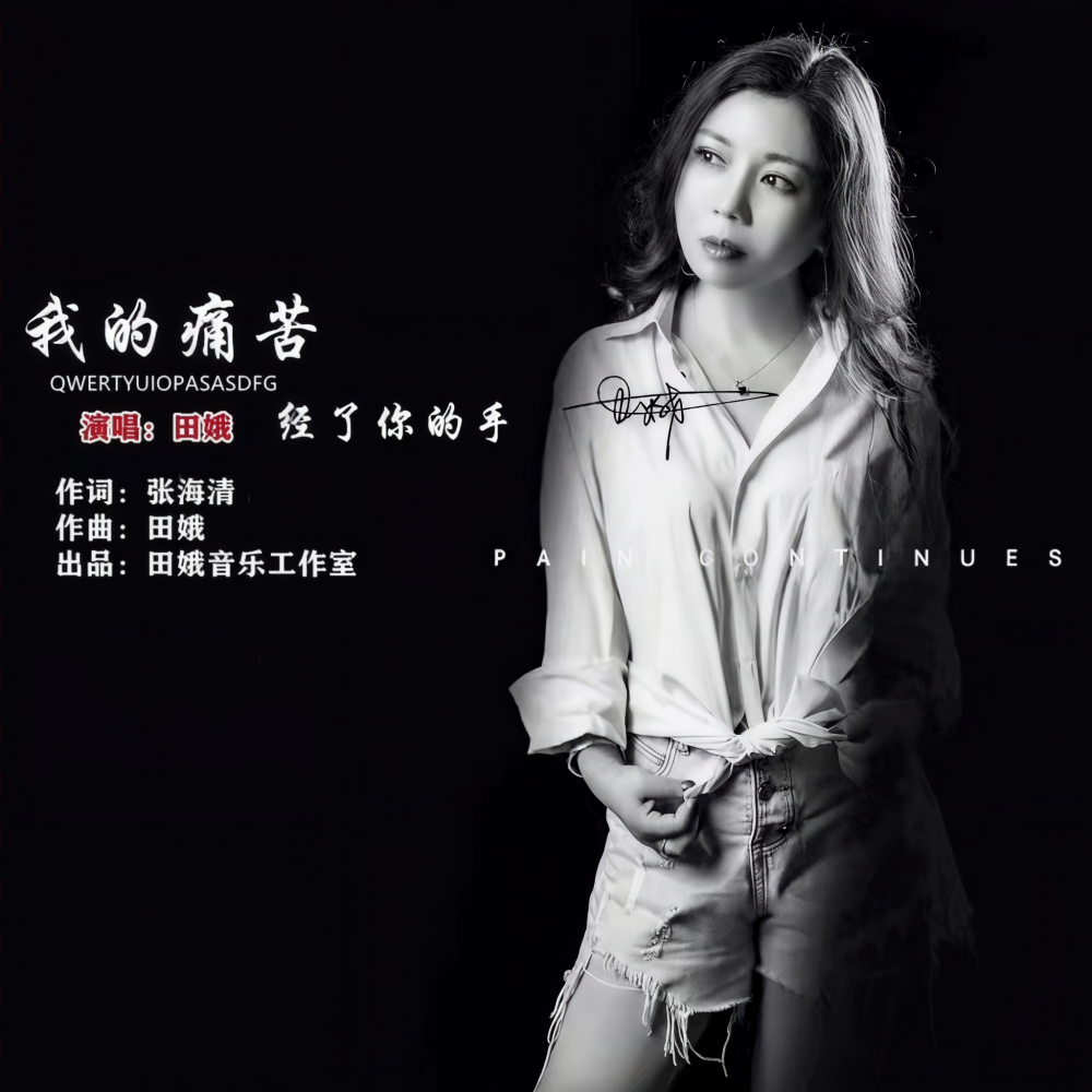 我的痛苦经了你的手 (DJ版伴奏)