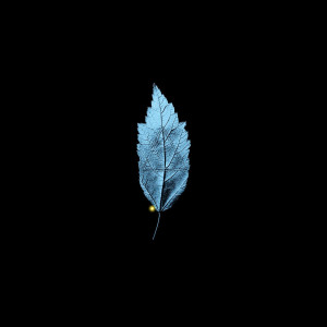 Album Ugly Betty (Explicit) from Flow