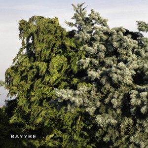 Listen to Bayybe 21 song with lyrics from Bilo 503