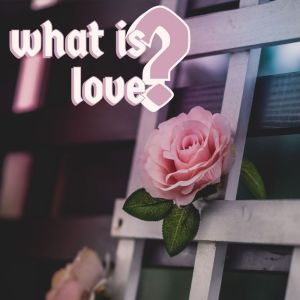 ดาวน์โหลดและฟังเพลง what is love? พร้อมเนื้อเพลงจาก siopaolo