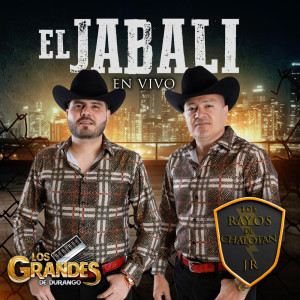 ดาวน์โหลดและฟังเพลง El Jabalí (En Vivo) พร้อมเนื้อเพลงจาก Los Rayos De Chapotan Jr.