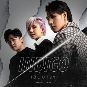 เส้นบางๆ Indigo