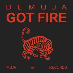 Demuja的專輯Got Fire