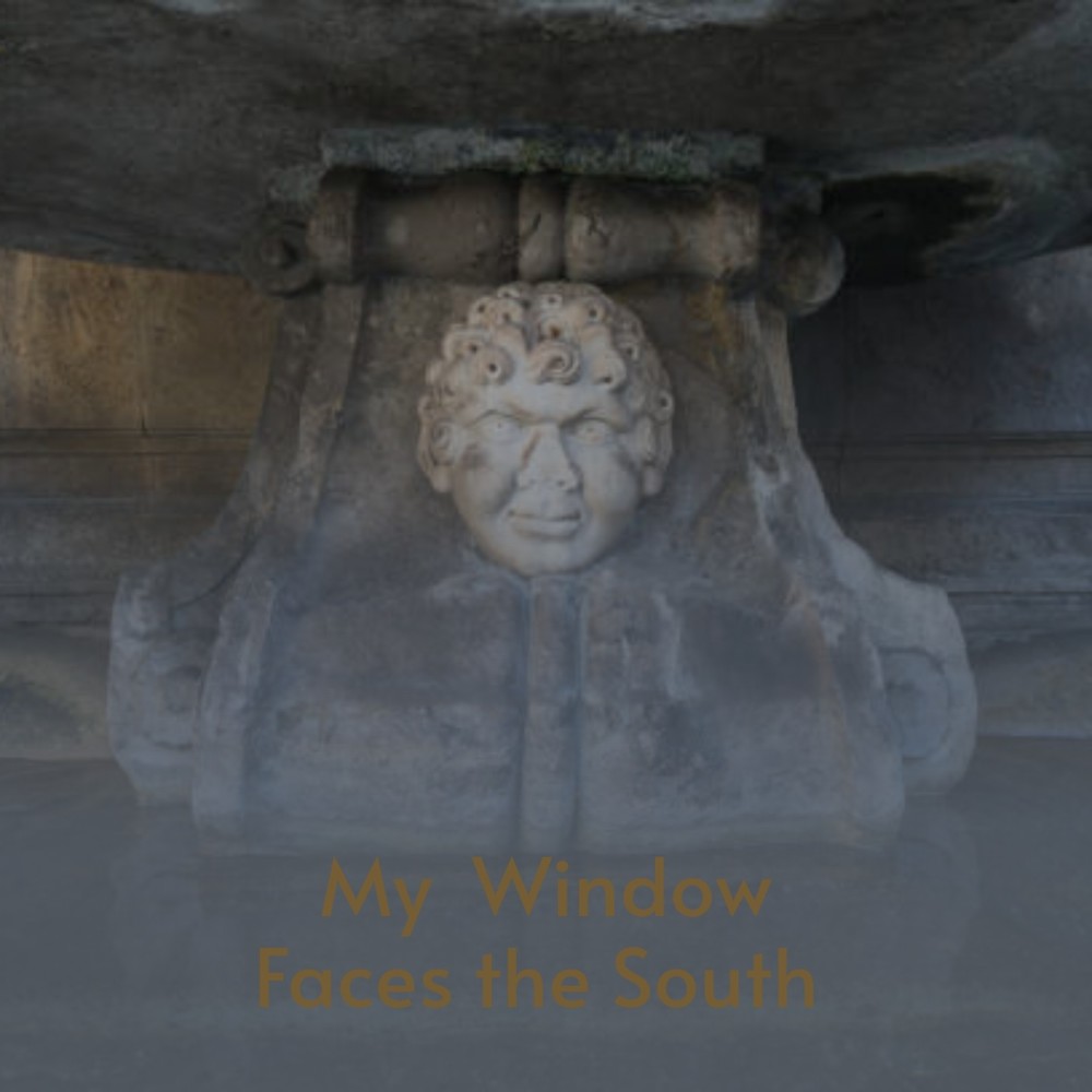 My Window Faces the South