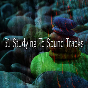 Dengarkan Freedom lagu dari Asian Zen Spa Music Meditation dengan lirik