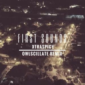 收听xtraspicy的First Sounds (Owlscillate Remix)歌词歌曲
