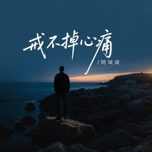 Listen to 戒不掉心痛 (伴奏) song with lyrics from 阿斌斌