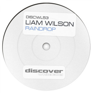 收聽Liam Wilson的Raindrop (Original Mix)歌詞歌曲