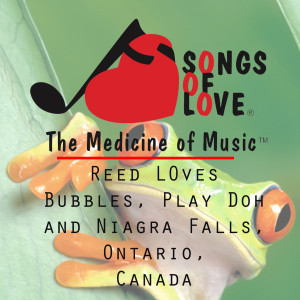 ดาวน์โหลดและฟังเพลง Reed Loves Bubbles, Play Doh and Niagra Falls, Ontario, Canada พร้อมเนื้อเพลงจาก D & W