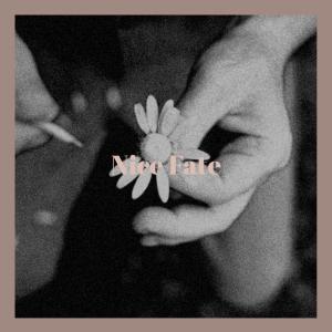 Various的专辑Nice Fate