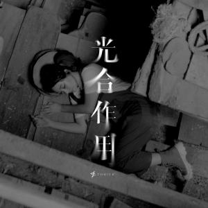 收聽ToNick的光合作用歌詞歌曲