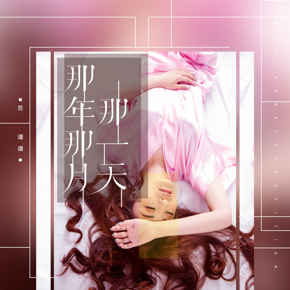 那年那月那一天 (名龙版DJ伴奏)