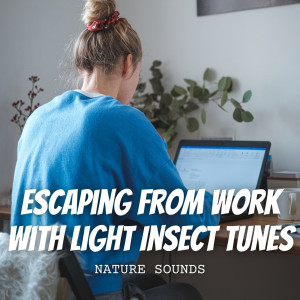 Nature Sounds: Escaping from Work with Light Insect Tunes