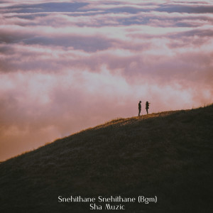 Album Snehithane Snehithane Bgm from Sha Muzic