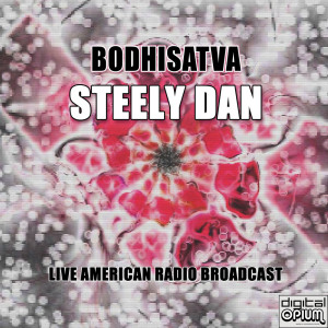 收聽Steely Dan的Hey Nineteen (Live)歌詞歌曲