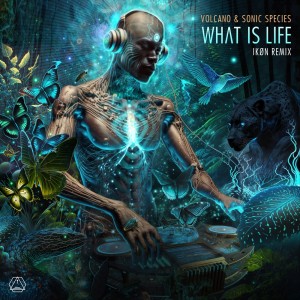 Album What Is Life (IKØN Remix) oleh Volcano