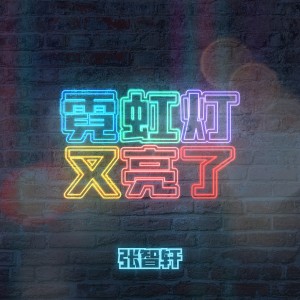 Listen to 霓虹灯又亮了 (伴奏) song with lyrics from 张智轩