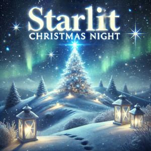 อัลบัม Starlit Christmas Night ศิลปิน Christmas Party Allstars