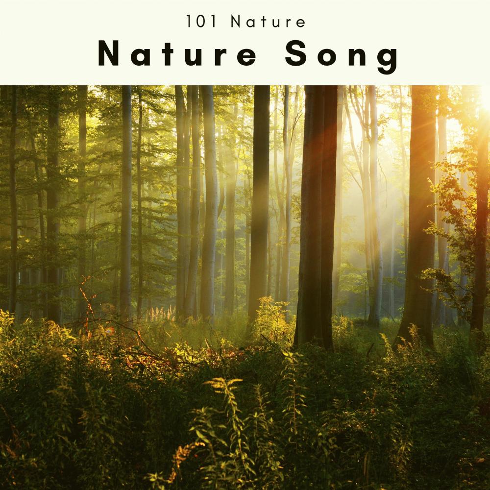 Music of Smooth Nature with Bird and Water Flow Talk