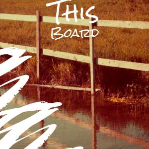 Various的专辑This Board