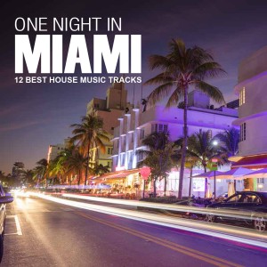 Album One Night in Miami (12 Best House Music Tracks) from Various
