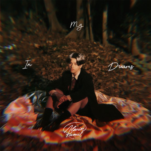 Listen to In My Dreams song with lyrics from Alwin Kamil