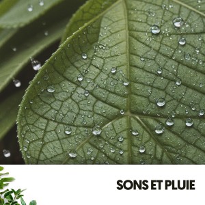 อัลบัม Sons et Pluie : Mélodies du Ciel sur Terre ศิลปิน Relaxing Guru
