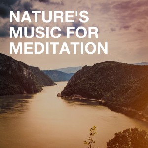 Album Nature's Music for Meditation from Nature Sounds