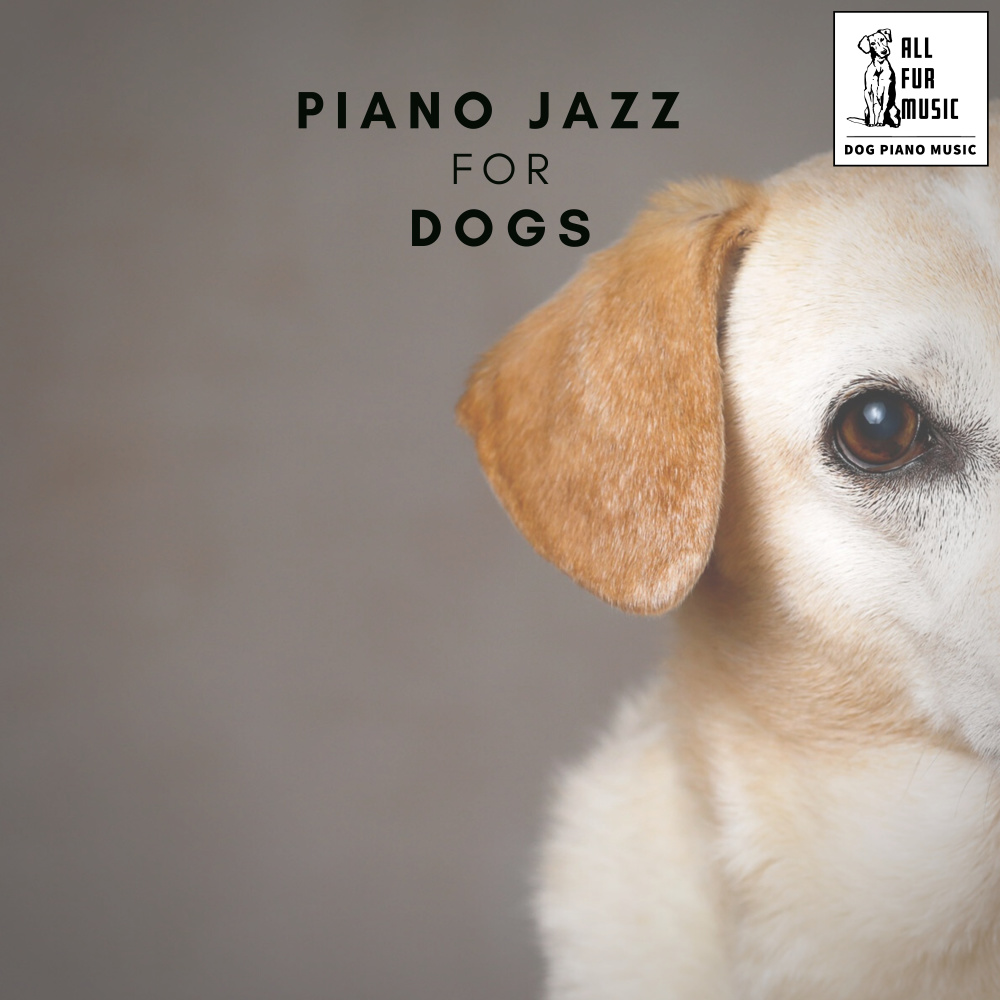 Solo Piano Puppy