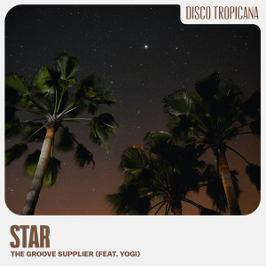 ดาวน์โหลดและฟังเพลง Star (feat. Yogi) พร้อมเนื้อเพลงจาก The Groove Supplier