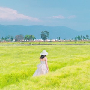 Album 你是人间的四月天 from 孙伊宁