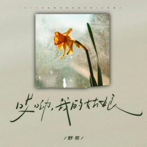 收聽野哥的哎呦我的姑娘 (DJ豪大大版)歌詞歌曲