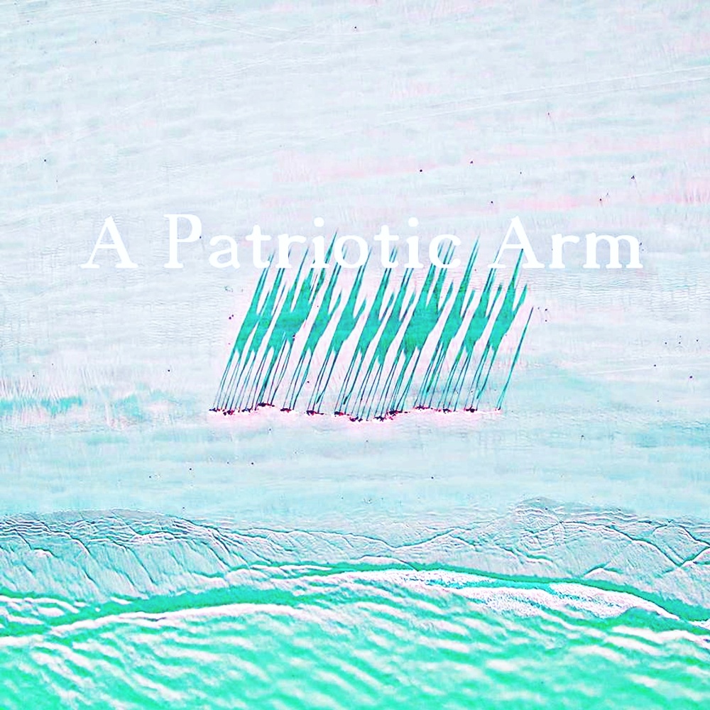 A Patriotic Arm