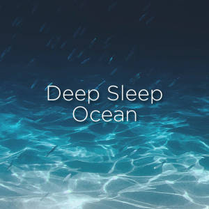 ดาวน์โหลดและฟังเพลง Deep Sleep Ocean พร้อมเนื้อเพลงจาก Ocean Sounds