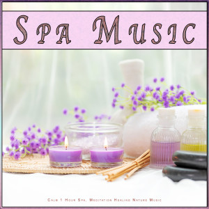 Nature Sounds Piano的專輯Spa Music: Calm 1 Hour Spa, Meditation Healing Nature Music