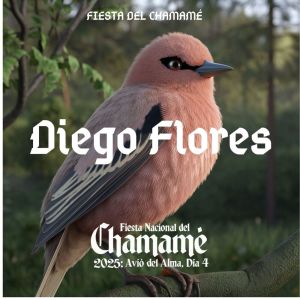 收聽Diego Flores的Asi es Formosa | Para volver a Santo Tomé | Sapucay de triunfo macho (En Vivo)歌詞歌曲