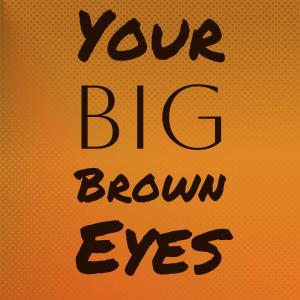 Your Big Brown Eyes dari Silvia Natiello-Spiller