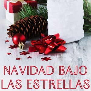 Listen to Jingle Bells song with lyrics from The Christmas Lights Orchestra