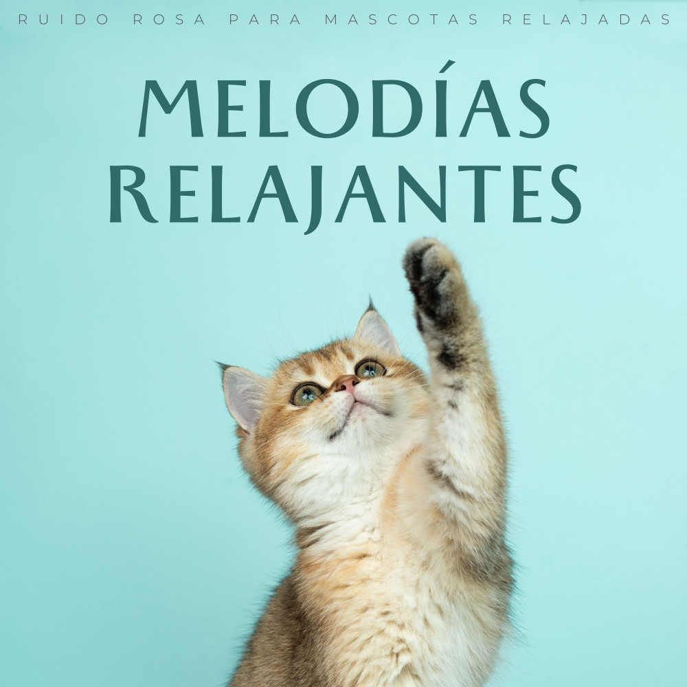 Ritmos De Reposo Para Mascotas Lofi