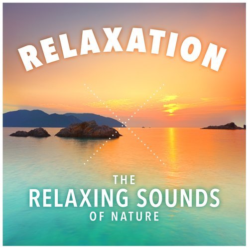 Nature Sounds for Meditation (New Age) [Nature]