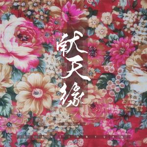Listen to 献天缘 (DJ名龙版) song with lyrics from 衡小只