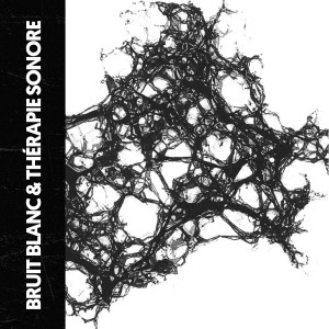 อัลบัม Bruit Blanc & Sonothérapie : Bruit et Paix ศิลปิน Ruido Blanco Hart